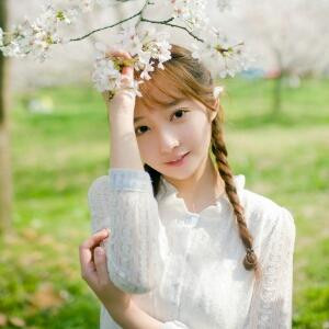 百灵