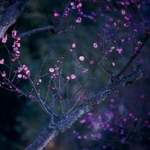 星星独有的微光