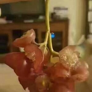 美好的童年