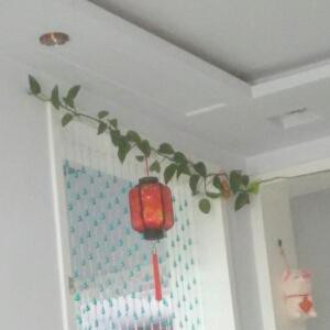 素指流沙