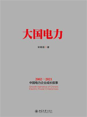大国电力