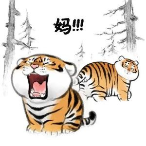 白色曼陀罗