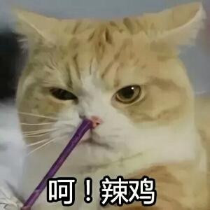 咋没把你给丧死