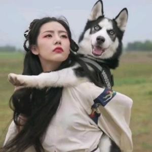 少女贩卖商