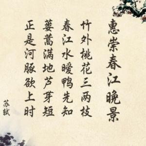 醉小说