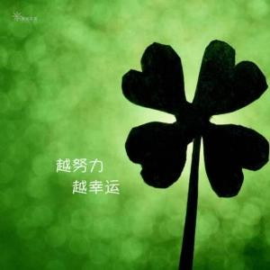 旋之风