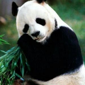 萱蓉