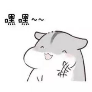 大沽炮台市长