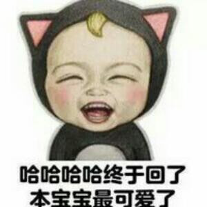 皮皮虾