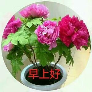 禺人是我
