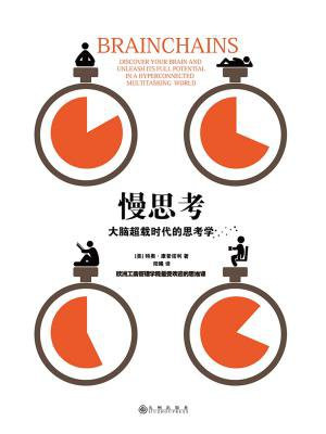 慢思考:大脑超载时代的思考学
