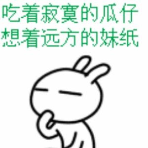 狼在天涯