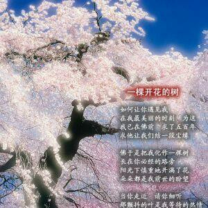 兰昕