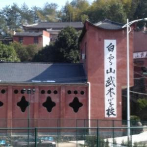 恨非书中人