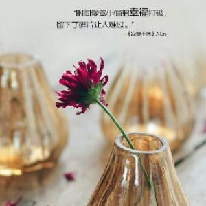 夜猫的世界