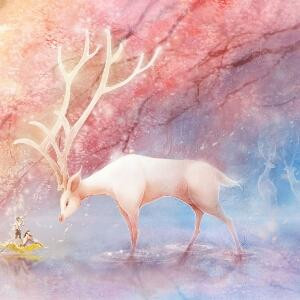 风吹花落