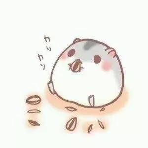 M琪M