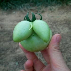好人好梦