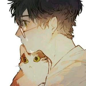 是月光下的猫啊