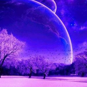 紫霞愛星