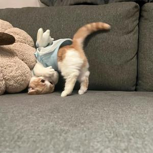 滴滴滴