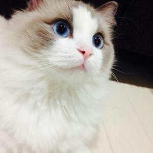 莫然
