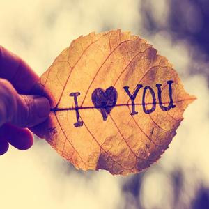 想次一颗棉花糖