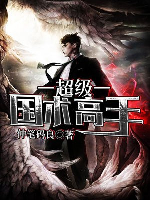 超级国术高手