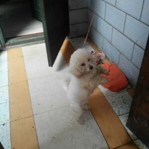 萌萌哒