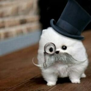 Charles
