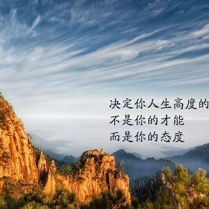 心无界爱无限