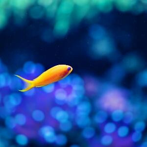 海风