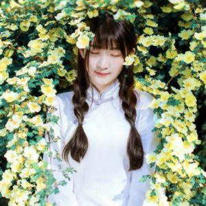阿瓦里卡