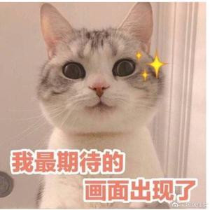 阿酒