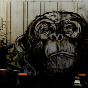 起个名就这么难