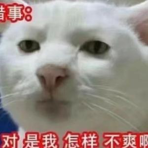 赤足的章鱼丸子