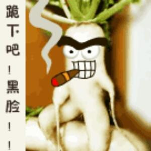 i265793961长弓