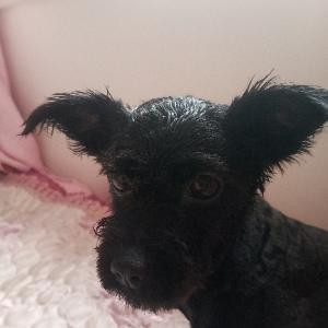 恶狠狠地小眼神儿