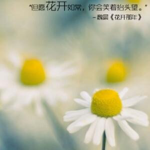 用微笑看淡人生