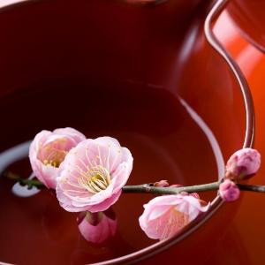 栀茜