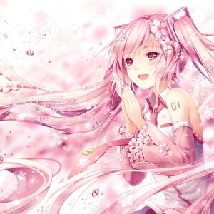 樱花