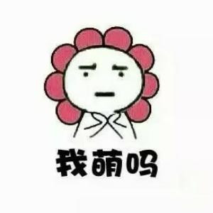 南南