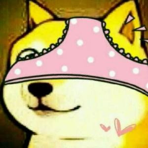 堤上望风的老狗