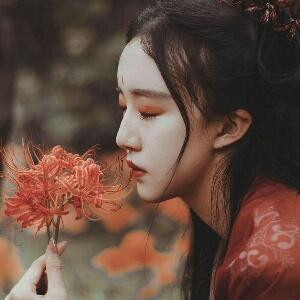 素雪澜月