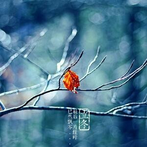 鋼仔