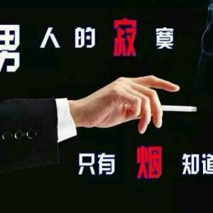 i259504075看