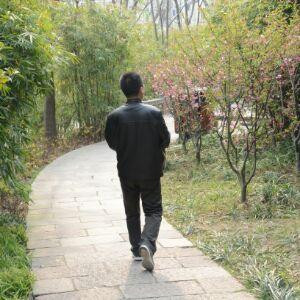 书痴