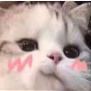 拾起