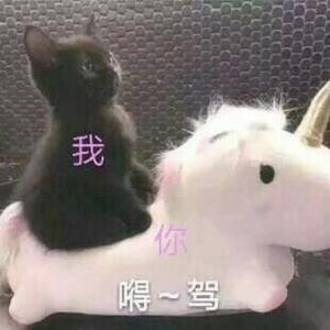 笛声萧萧