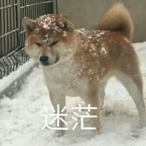清清999